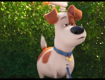 Mira el entretenido segundo trailer de "La Vida Secreta de Tus Mascotas"