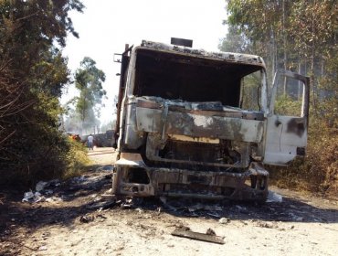 Nuevo ataque incendiario se registró este sábado en Contulmo