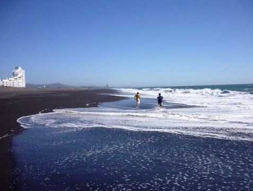 Cadáver de niña de 3 años es encontrada a orilla del mar en San Pedro de la Paz