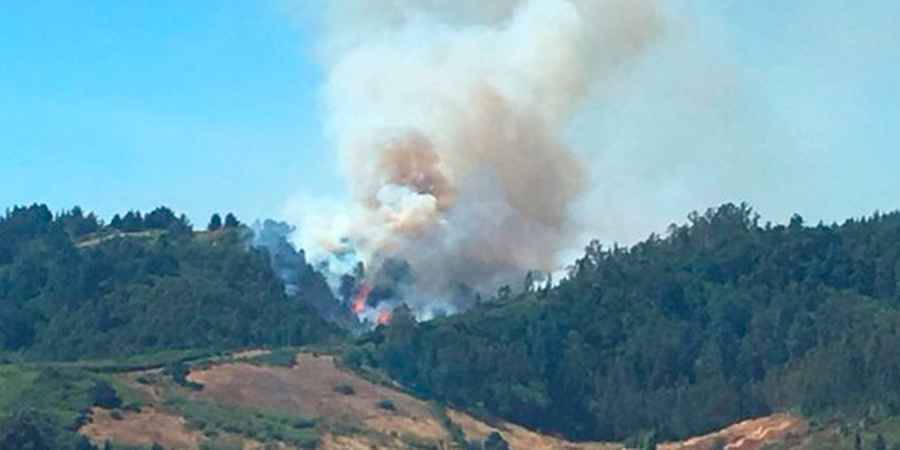 Se declara Alerta Roja para la comuna de Temuco por incendio forestal