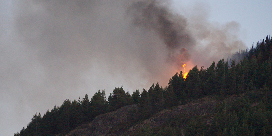 Se declara Alerta Amarilla para la Región de Los Ríos por incendio forestal