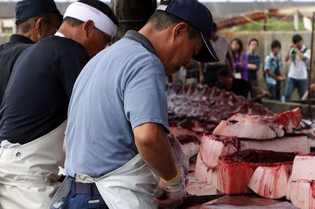 La inesperada razón por la que Japón sigue cazando ballenas