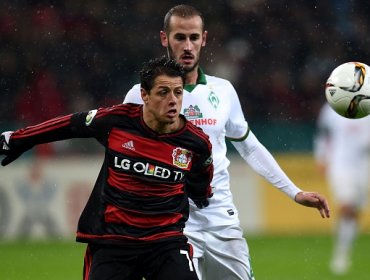 Chicharito será baja este fin de semana en la Bundesliga contra el Darmstadt