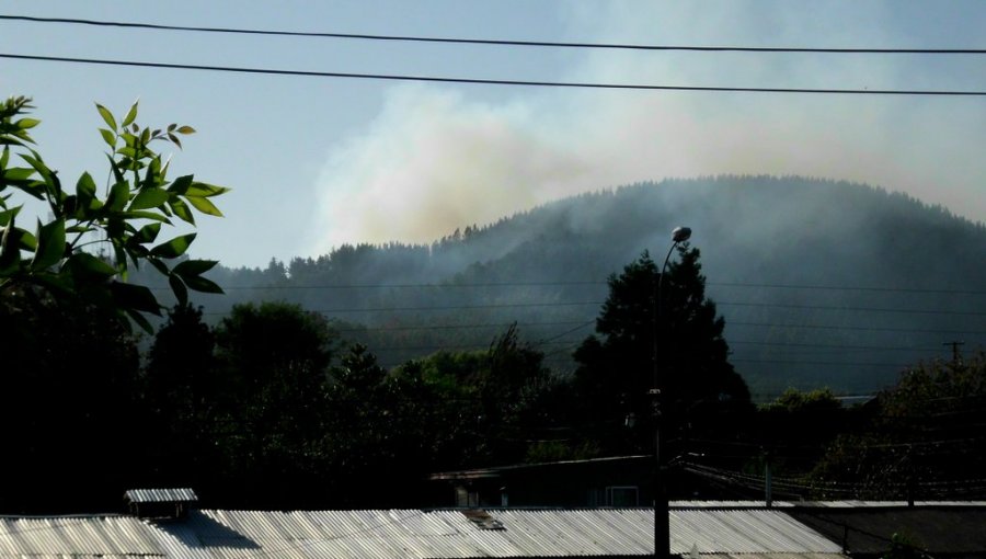 Se declara Alerta Amarilla para la Región de La Araucanía por incendio forestal