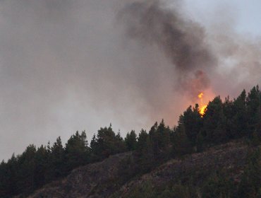 Se declara Alerta Amarilla para la Región de Los Ríos por incendio forestal