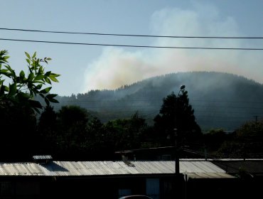 Se declara Alerta Amarilla para la Región de La Araucanía por incendio forestal