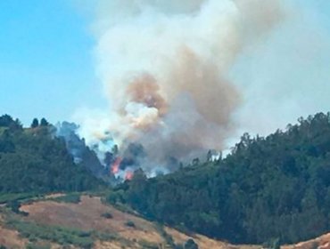 Se declara Alerta Roja para la comuna de Temuco por incendio forestal