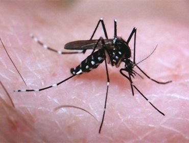 España: Se confirma el primer caso de virus del Zika en Aragón