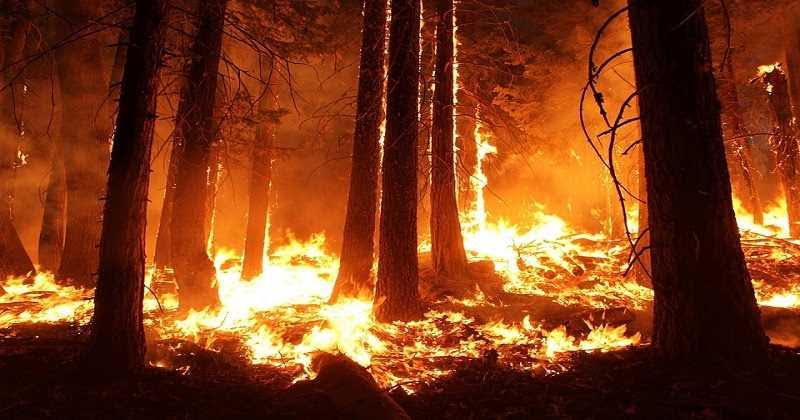 Se mantienen activos 13 incendios forestales en todo el país