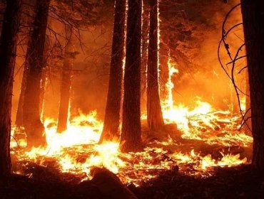 Se mantienen activos 13 incendios forestales en todo el país