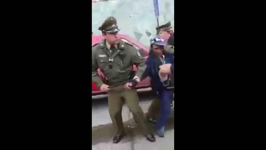 Denuncian a carabineros por disparar a perro que defendía a su dueño