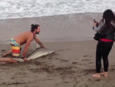 Hombre saca a tiburón del agua para ser fotografiado junto al animal