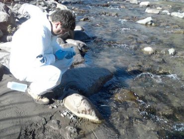 Codelco afirma que emergencia en Río Blanco está controlada