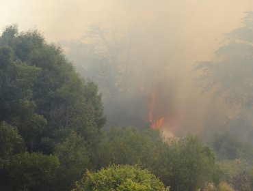 Conaf habilita cortafuegos en Lago Peñuelas