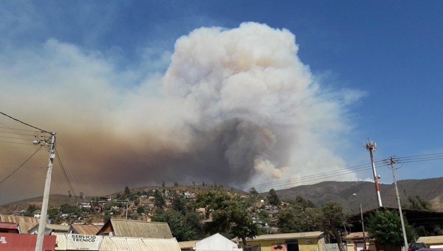 Altas temperaturas podrían complicar combate de incendio forestal que afecta a La Ligua.