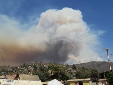 Altas temperaturas podrían complicar combate de incendio forestal que afecta a La Ligua.