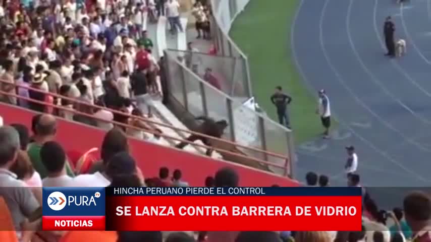 Hincha peruano pierde el control y se lanza varias veces contra barrera de vidrio en estadio