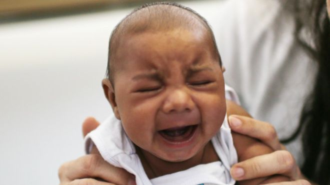 Científicos de EE.UU. aseguran haber descubierto cómo el zika mata células cerebrales en los fetos