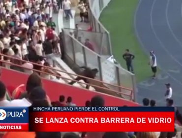 Hincha peruano pierde el control y se lanza varias veces contra barrera de vidrio en estadio