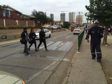 Paso de cebra "con rejas" desata polémica en Concón