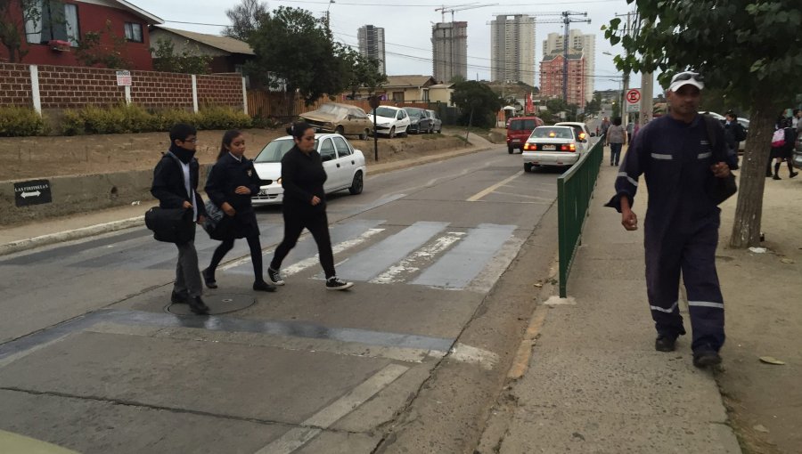 Paso de cebra "con rejas" desata polémica en Concón