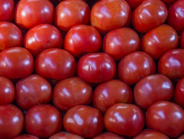 Consiguen cultivar tomates y guisantes en suelo simulado de Marte y la Luna