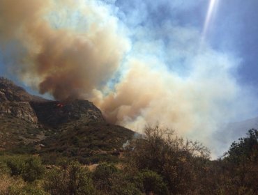 Conaf combate incendio forestal que mantiene con alerta roja a la comuna de San Felipe y provoca fuerte humareda