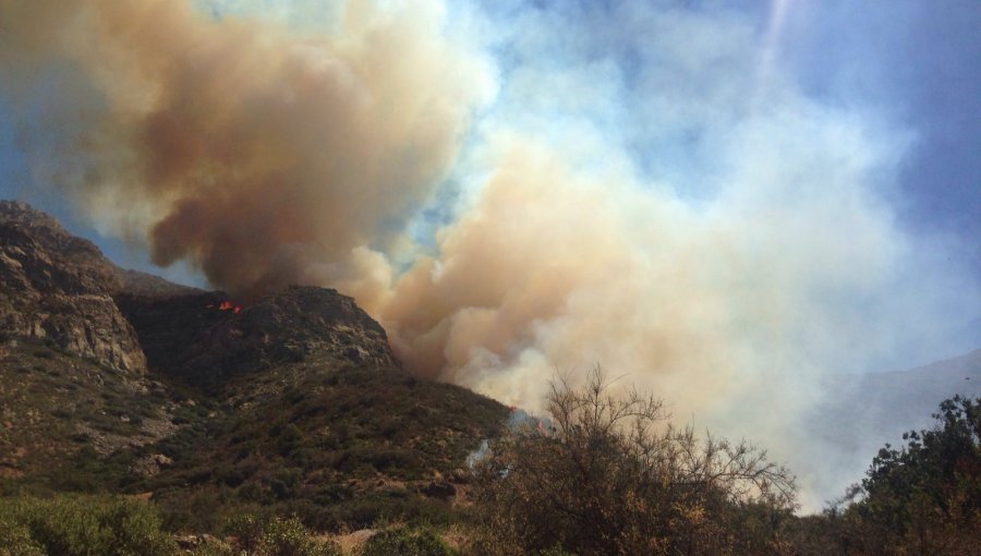 Conaf combate incendio forestal que mantiene con alerta roja a la comuna de San Felipe y provoca fuerte humareda