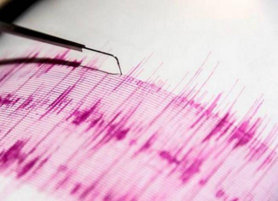 Temblor despertó de madrugada a los ariqueños.