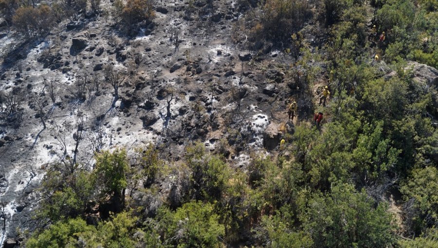 CONAF prepara plan de restauración de espacio protegido afectado por incendio en San Felipe