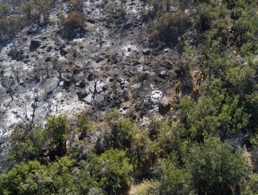 CONAF prepara plan de restauración de espacio protegido afectado por incendio en San Felipe