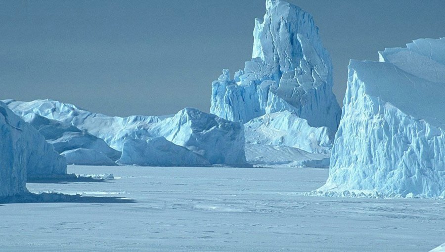 Hongo asociado al aumento de la temperatura amenaza los ecosistemas Antárticos