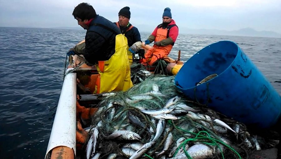 Pescadores artesanales molestos por no pago de bono de compensación