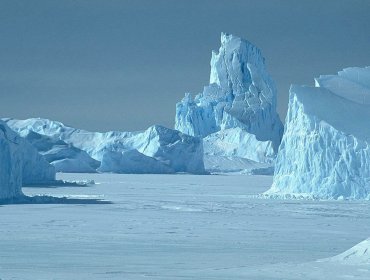 Hongo asociado al aumento de la temperatura amenaza los ecosistemas Antárticos