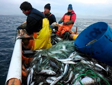 Pescadores artesanales molestos por no pago de bono de compensación