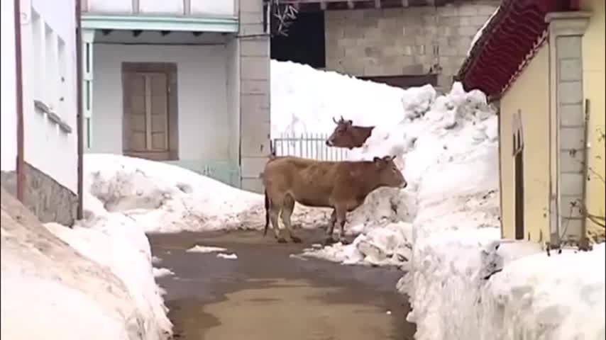 Maraña: un pueblo prácticamente sepultado por la nieve en España