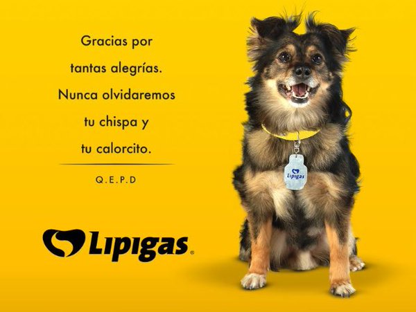 Imagen foto_00000002