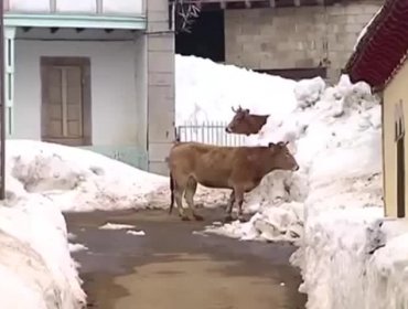 Maraña: un pueblo prácticamente sepultado por la nieve en España