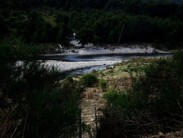 Recuperar bosques en China, clave para mitigar el cambio climático