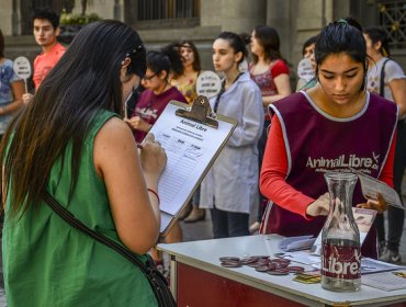 Exigen menú vegano en establecimientos públicos