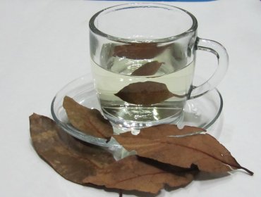 ¿Quieres reducir 8 cm en siete días? Este té podría ser la solución