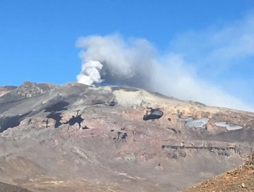 Preocupación por Volcán Copahue imponente columna de humo sale del macizo