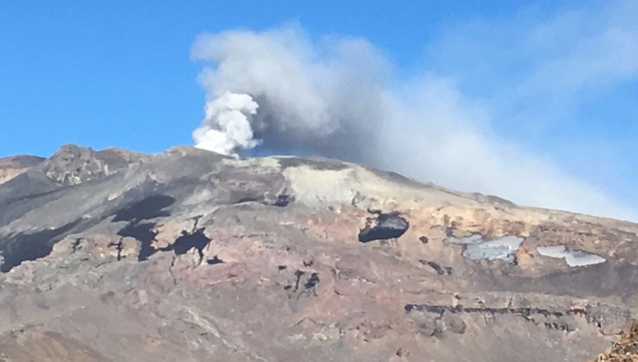 Preocupación por Volcán Copahue imponente columna de humo sale del macizo