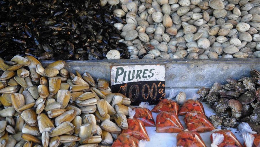 Cadena de frío: un problema recurrente de los alimentos en Semana Santa