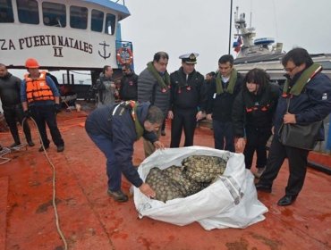 Decomisan 114 Toneladas de mariscos previo al fin de semana Santo