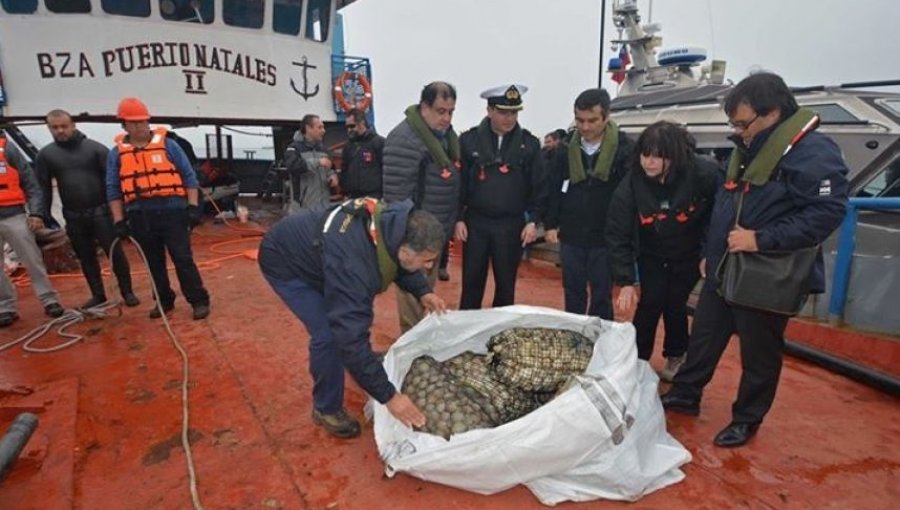 Decomisan 114 Toneladas de mariscos previo al fin de semana Santo