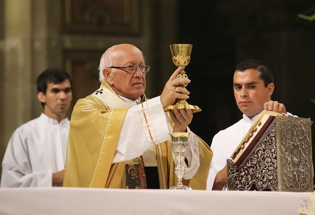 Galería: Cardenal Ezzati realizó Misa de Resurrección en Catedral de Santiago