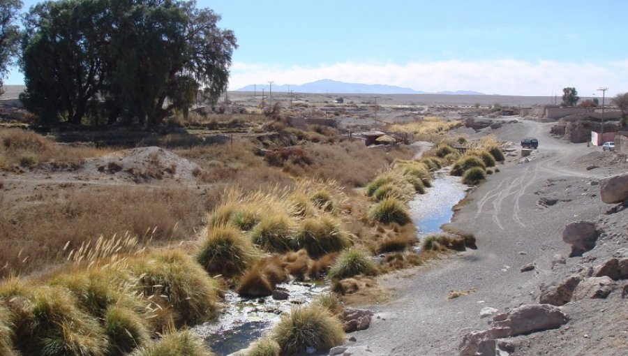 Alcalde de Calama viaja al punto donde el Silala confluye en el rio Loa