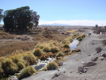 Alcalde de Calama viaja al punto donde el Silala confluye en el rio Loa