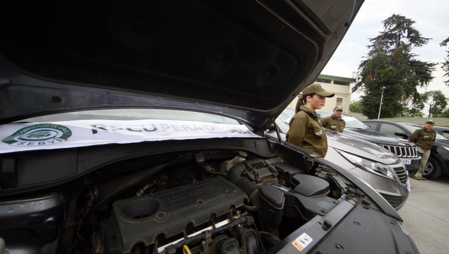 Carabineros desbarata banda dedicada a cometer “portonazos”